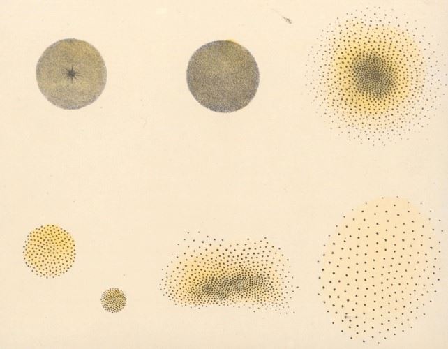 The Beauty of Heavens