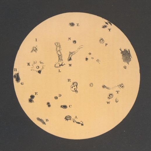 The Beauty of Heavens